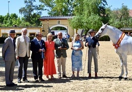 Entregado los trofeos al caballo Íbero y la yegua Campeona del Marengo de la Feria de Jerez