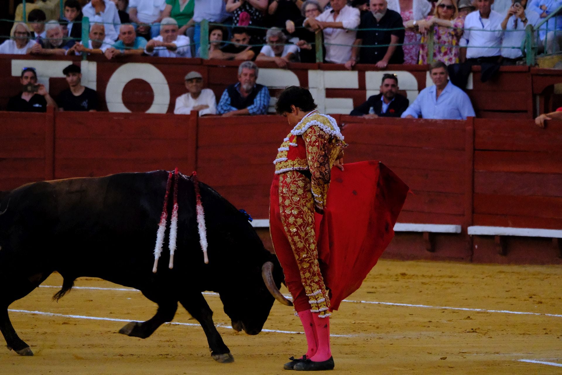Fotos: Talavante y Roca Rey brillan en Jerez