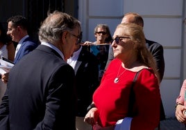 «El presidente de la Comisión de Petición se ha conmovido con mis palabras»
