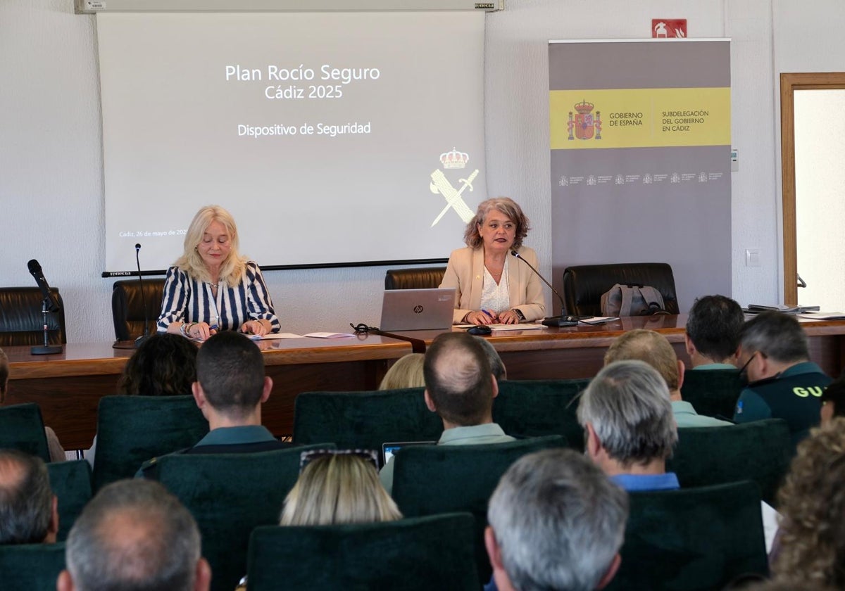 Reunión de coordinación del Comité Asesor del Plan Romero 2025