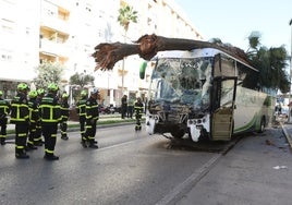 Condenada por difundir por whatsapp imágenes de un menor fallecido en el accidente del autobús de Cádiz