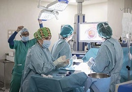 El SAS contratará a más de 5.800 profesionales en Cádiz durante el verano y mantendrá abiertos todos sus centros de salud