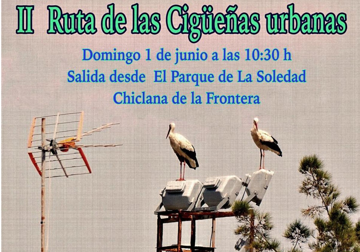 Chiclana alza la vista con la II Ruta de los Nidos de Cigüeñas Urbanas