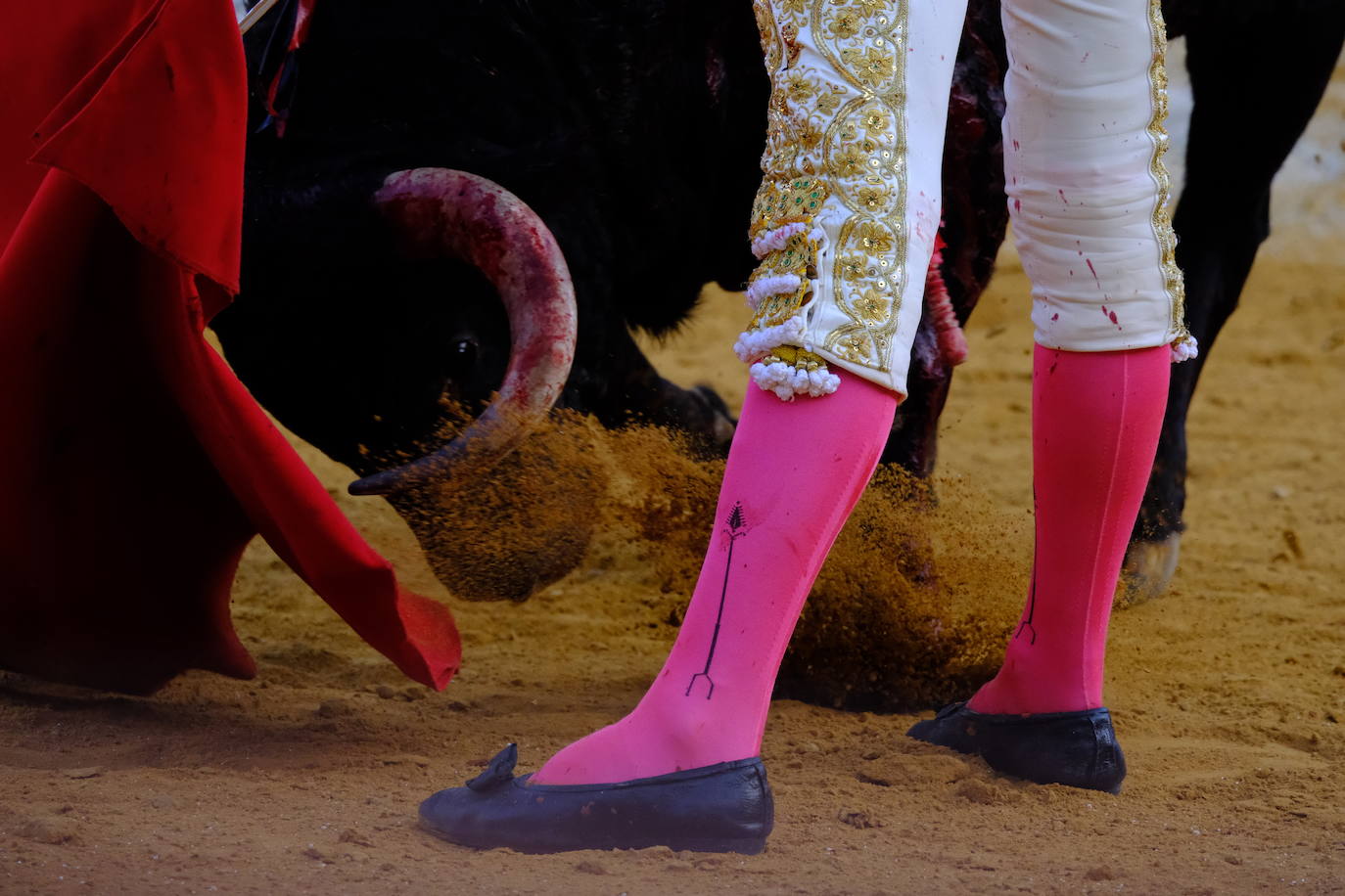 Toros: Perera, Talavante y El Melli en Sanlúcar