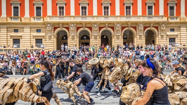 Una estampida de animales salvajes llega a la localidad gaditana de San Fernando tras recorrer África: «Ha sido espectacular»