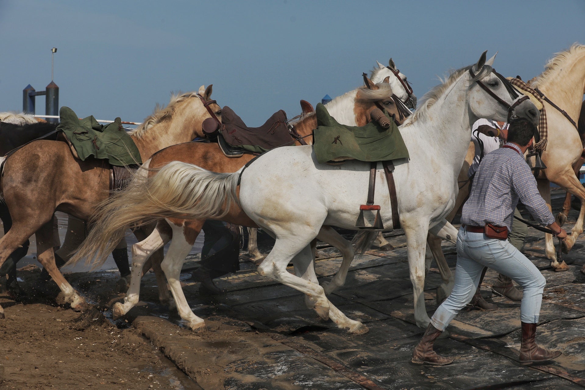 Las imágenes del embarque de las primeras hermandades de Cádiz en Bajo de Guía