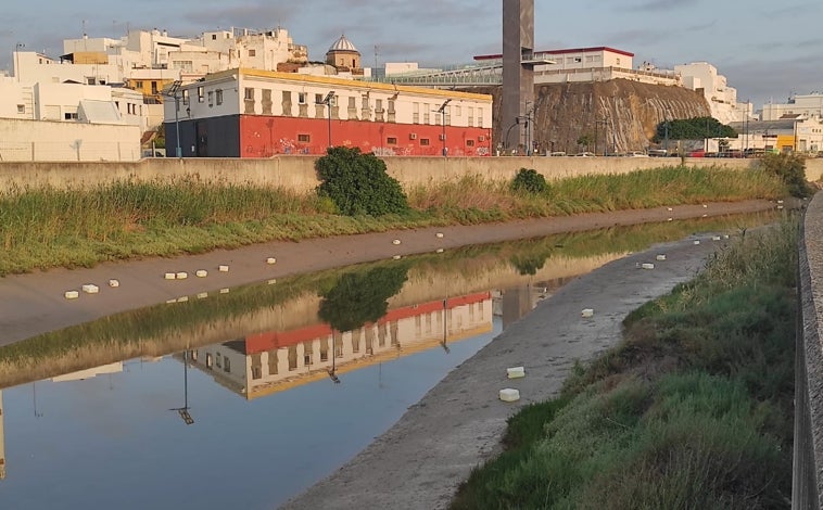 Imagen principal - Petaqueros en el río Iro de Chiclana: el goteo que no cesa