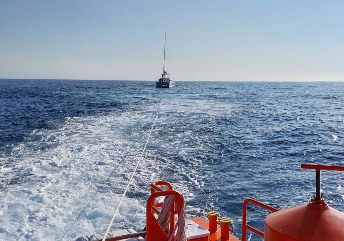 Remolcan a los tripulantes de un catamarán tras un nuevo 'ataque' de orcas en aguas de Barbate