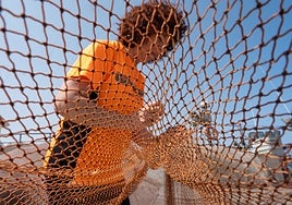 Costureras de la mar en Barbate