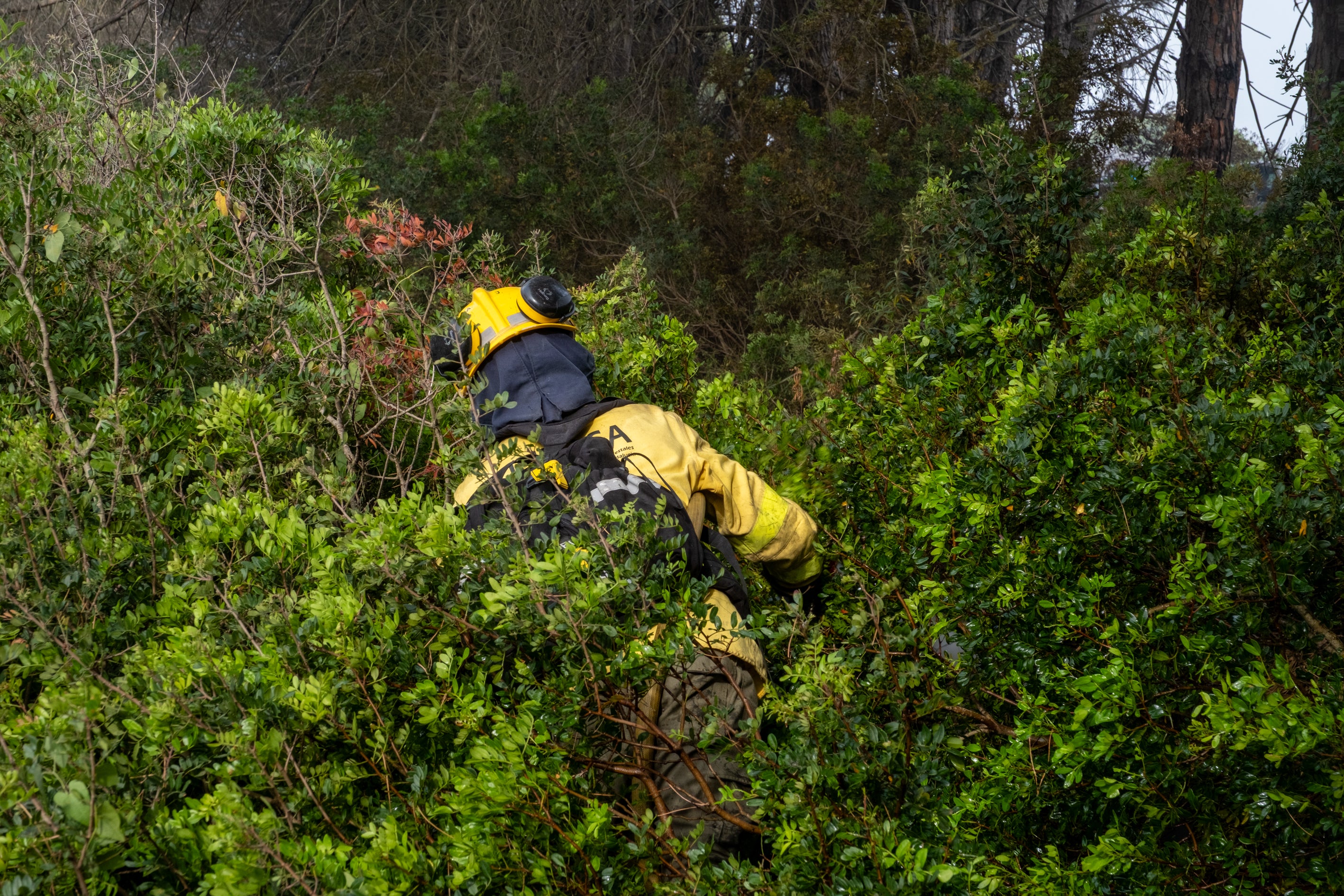 Fotos: Las imágenes del incendio de Puerto Real