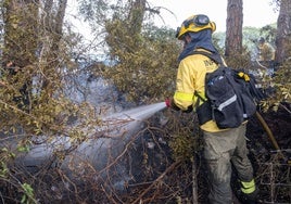 Fotos: Las imágenes del incendio de Puerto Real