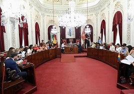 El Ayuntamiento de Cádiz aprueba la dedicación de un monumento a las víctimas de violencia de género