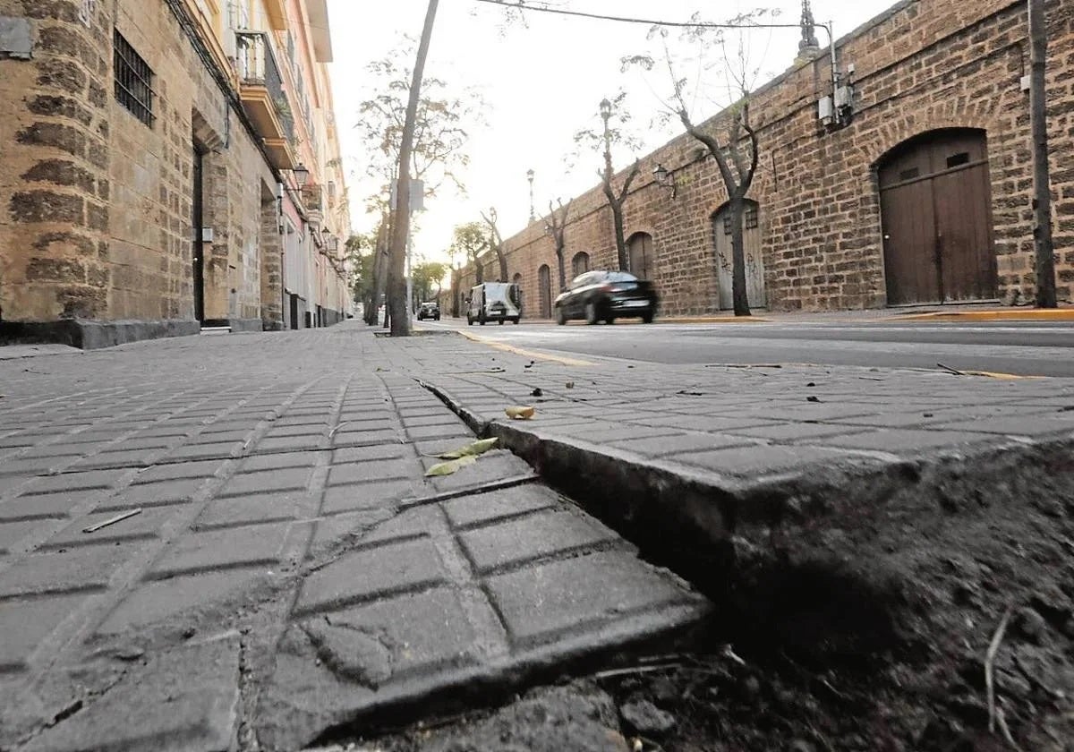 Ayuda a Domicilio, Mantenimiento Urbano y Parques y Jardines ya pueden prestar sus servicios en Cádiz