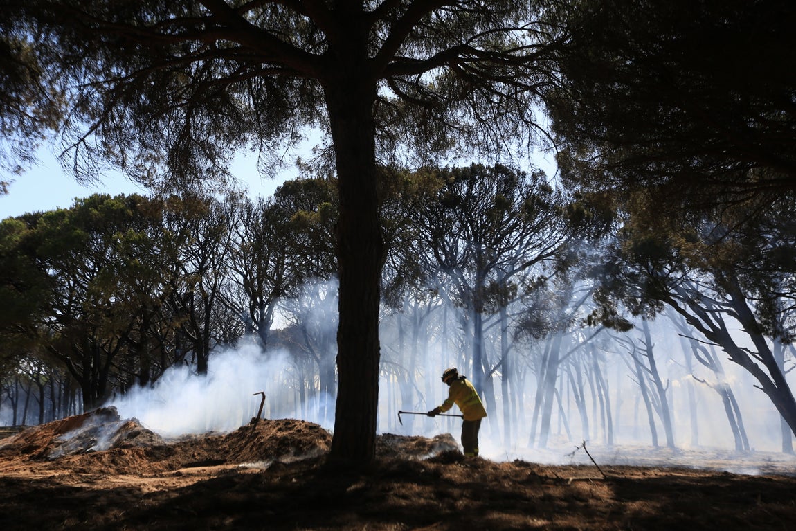 Fotos: Los vecinos se vuelcan para sofocar el incendio de Chiclana