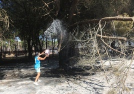 Fotos: Los vecinos se vuelcan para sofocar el incendio de Chiclana