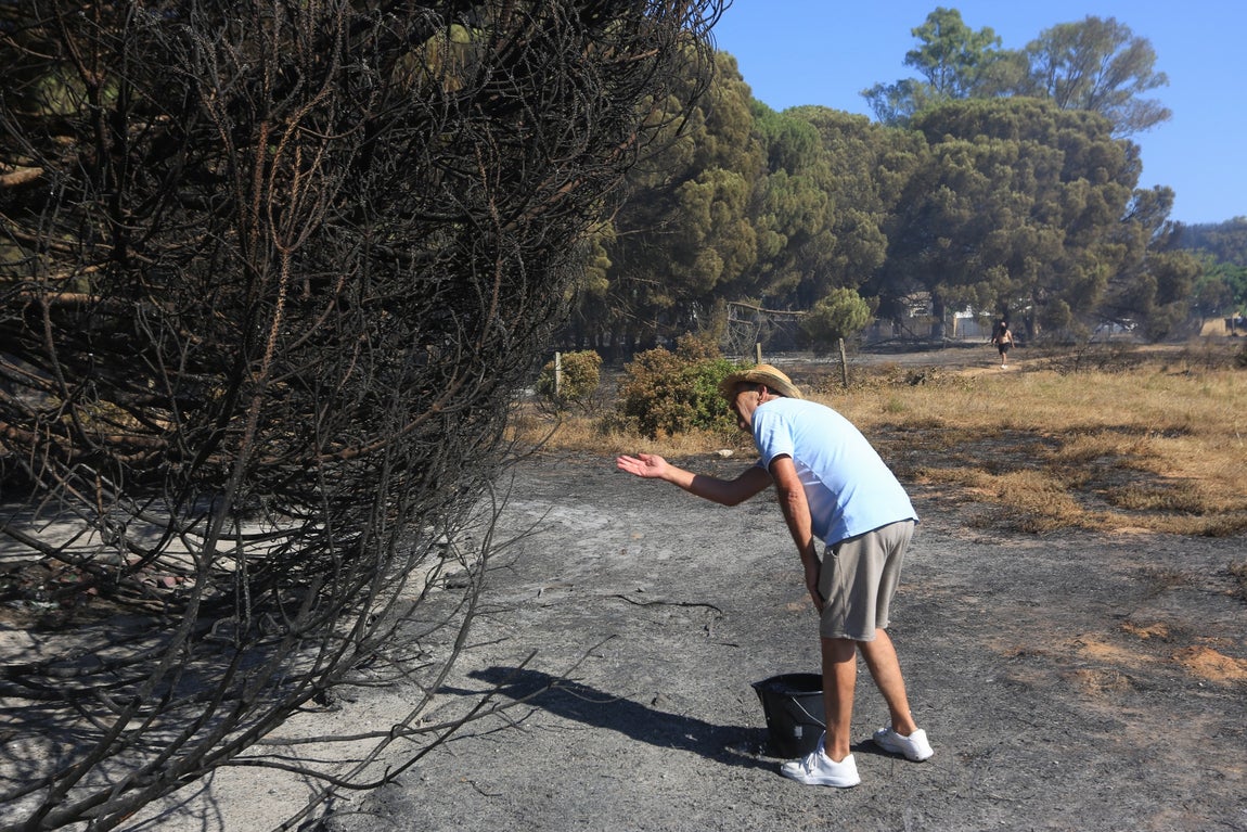 Fotos: Los vecinos se vuelcan para sofocar el incendio de Chiclana