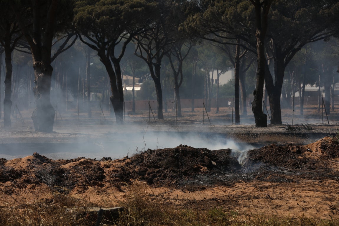 Fotos: Los vecinos se vuelcan para sofocar el incendio de Chiclana