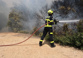 Nuevo incendio forestal ahora entre Roche y El Colorao en plena ola de calor
