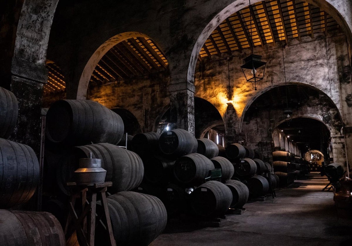 El PP de Jerez muestra su apoyo al Consejo Regulador del Brandy ante la imposición de aranceles de China