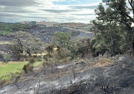 Controlado el incendio forestal en un paraje de Algeciras tras una noche «tranquila»