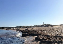 La Junta apuesta por convertir en un recurso el alga asiática y pide al Gobierno central mayor compromiso