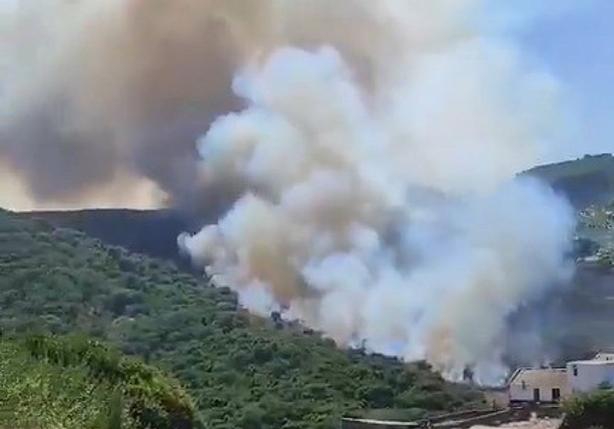 Declarado un incendio forestal en Algeciras en la zona entre Getares y Pelayo