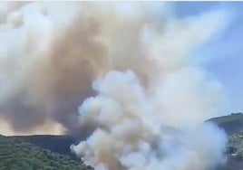 Declarado un incendio forestal en Algeciras en la zona entre Getares y Pelayo