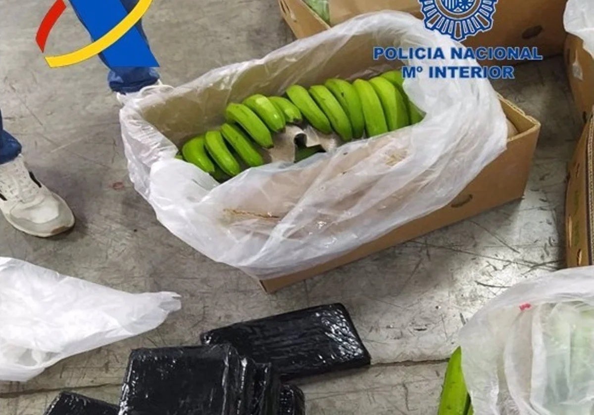 Cocaína oculta en plátanos en el Puerto de Algeciras