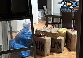 Operación en Puerto Real: desarticulado un grupo criminal con 350 kilos de hachís