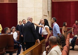 Padres del CEIP El Colorado de Conil se marchan del Parlamento andaluz al grito de «qué vergüenza» por no crearse un Aula TEA