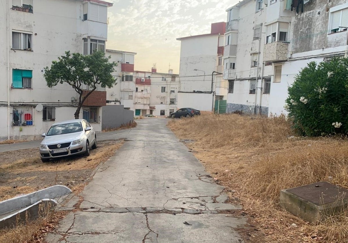 La Junta licita la reurbanización del entorno de 256 viviendas en La Piñera de Algeciras por 2,2 millones