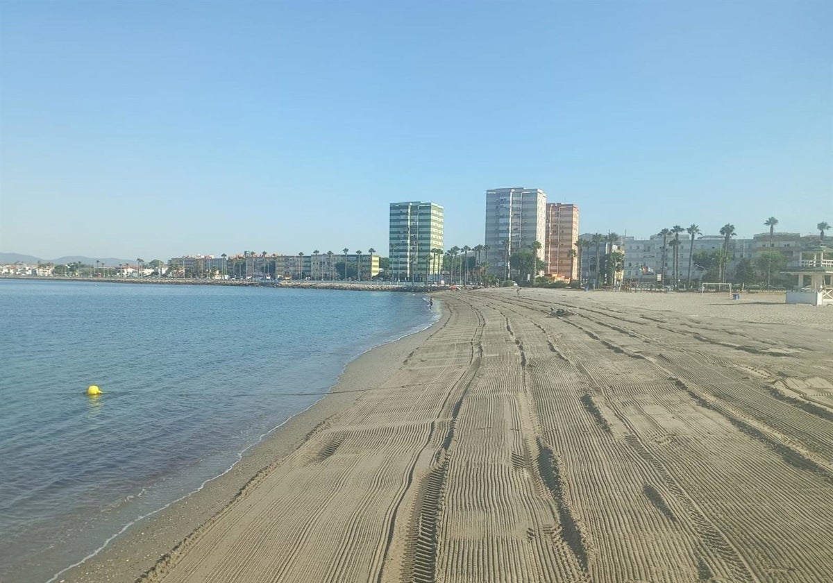 Más de 10 toneladas de alga invasora recogidas en las playas de La Línea en 48 horas