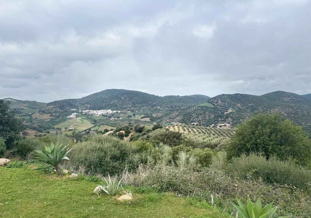 Parque Natural Sierra de Grazalema.
