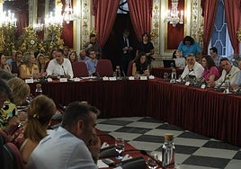 El futuro de El Madrugador abre la primera crisis en el gobierno de la Diputación de Cádiz