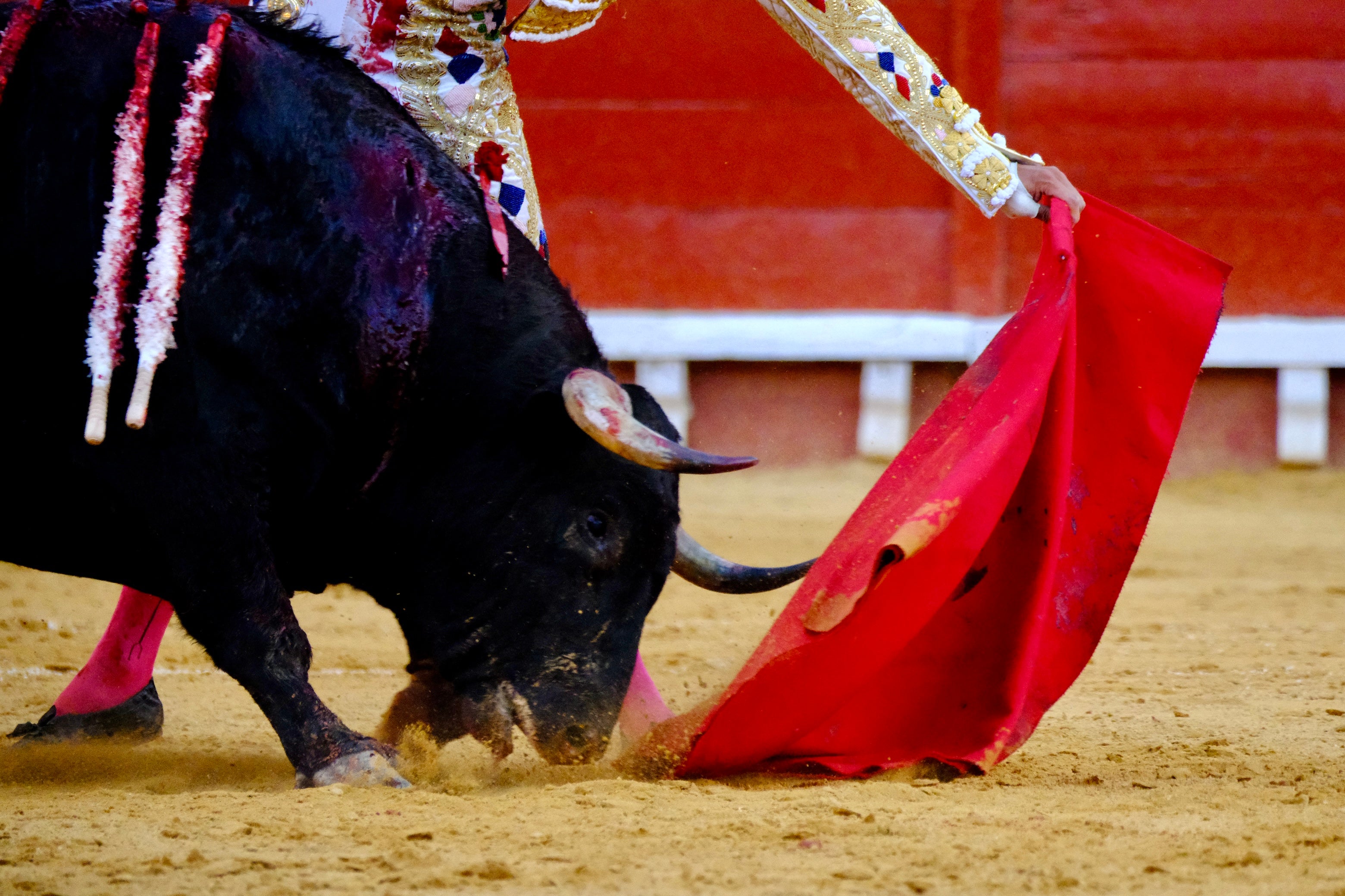 Fotos: A hombros en El Puerto