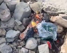 Denuncian el estado de La Ballenera