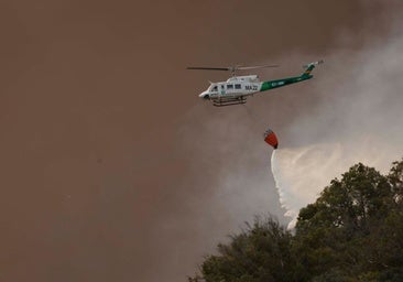 Incendio en Tarifa: el fuego obliga a evacuar hoteles, campings, chiringuitos y 5.000 vehículos