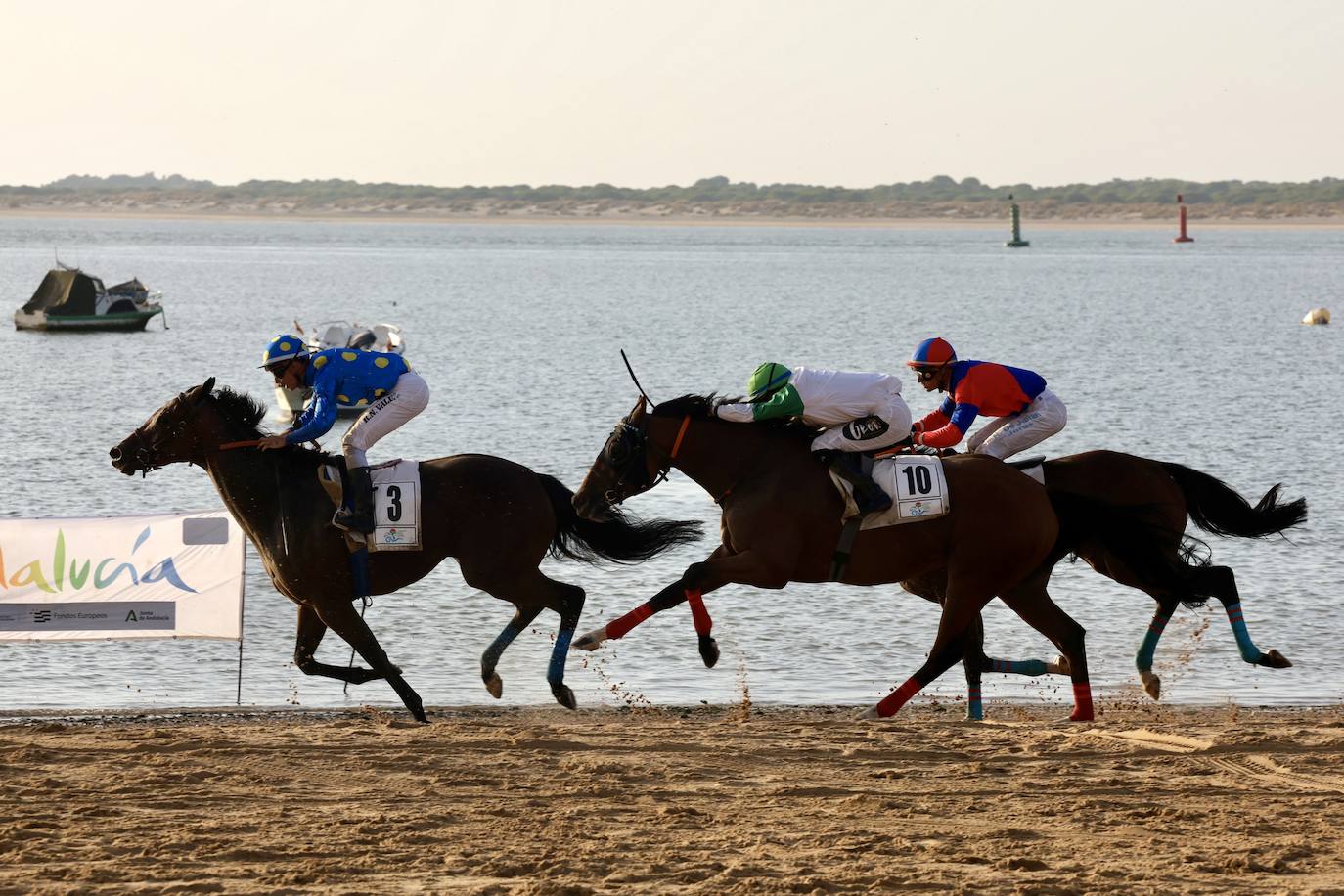 Fotos: Las Carreras de Caballos de Sanlúcar dan sus primeras galopadas