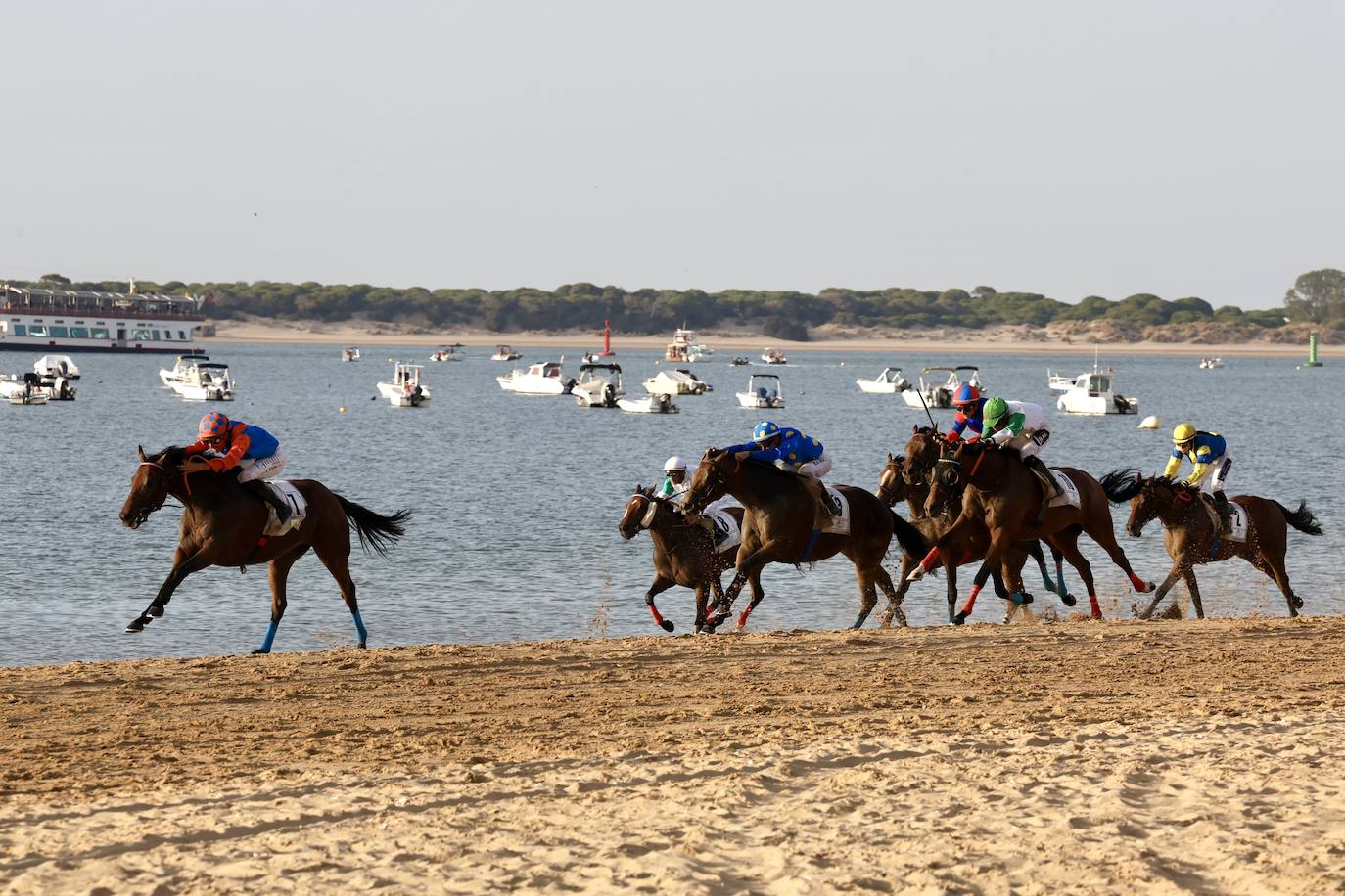 Fotos: Las Carreras de Caballos de Sanlúcar dan sus primeras galopadas