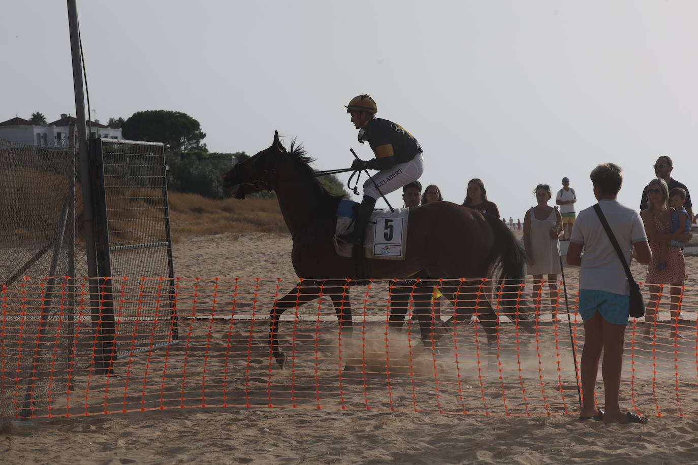 Fotos: Las Carreras de Caballos de Sanlúcar dan sus primeras galopadas