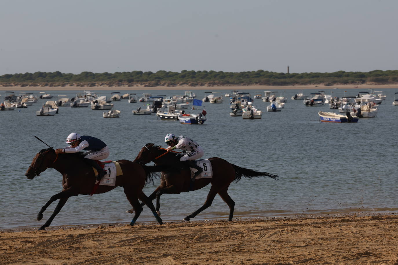 Fotos: Las Carreras de Caballos de Sanlúcar dan sus primeras galopadas