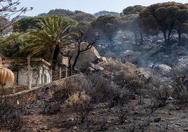 El fuego de Tarifa reaviva los peores recuerdos de siniestros en la provincia