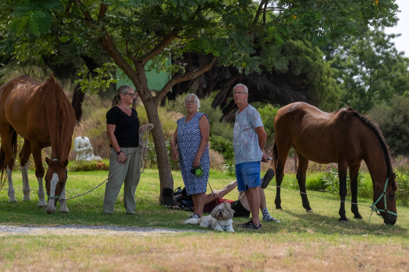 Las imágenes del incendio de Tarifa: el fuego obliga a desalojar a 1.500 personas