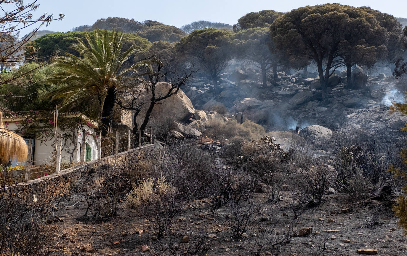 Las imágenes del incendio de Tarifa: el fuego obliga a desalojar a 1.500 personas