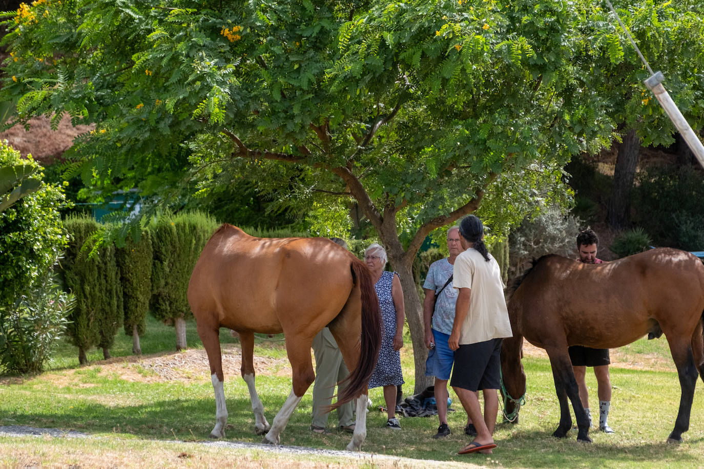 Las imágenes del incendio de Tarifa: el fuego obliga a desalojar a 1.500 personas