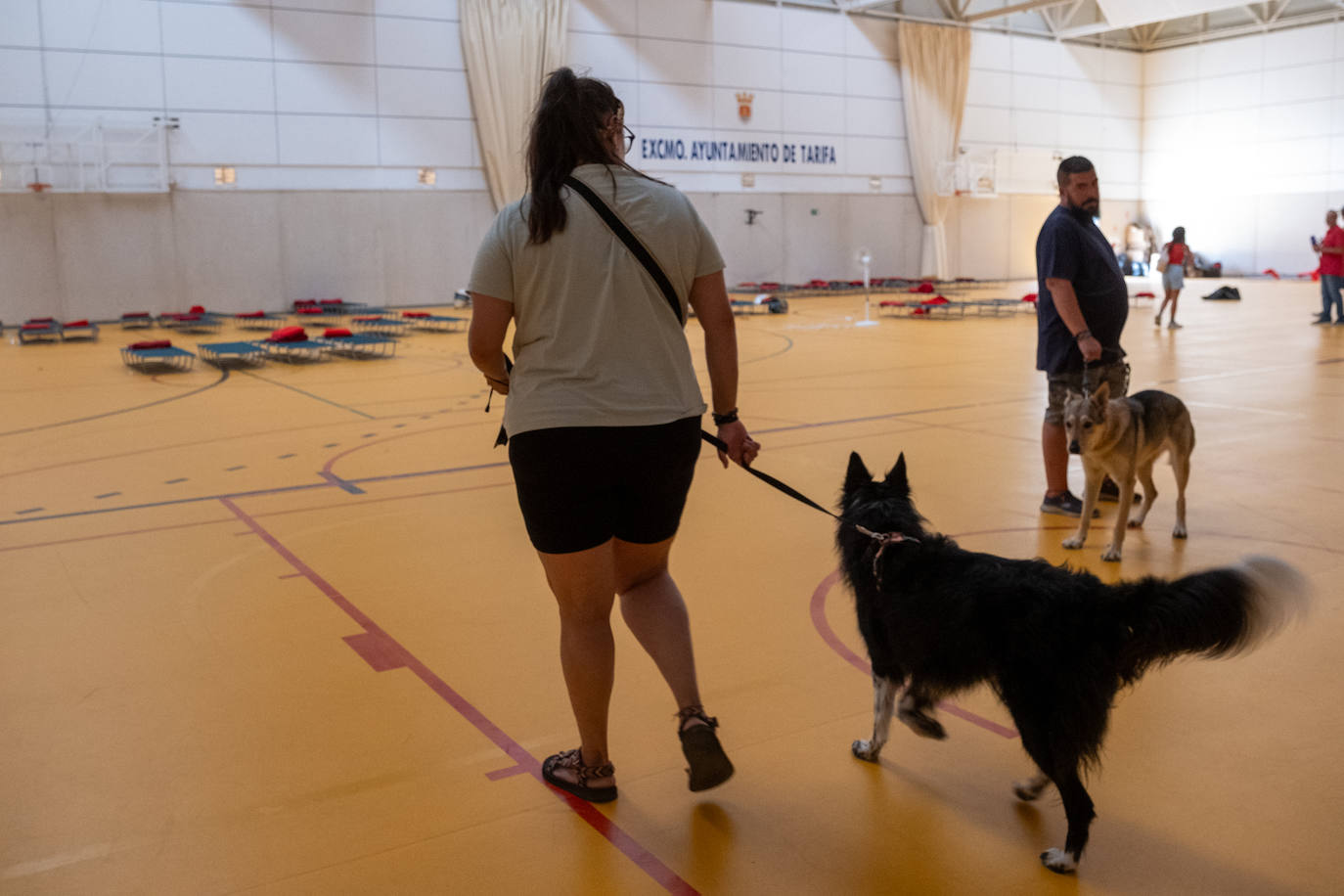 Las imágenes del incendio de Tarifa: el fuego obliga a desalojar a 1.500 personas