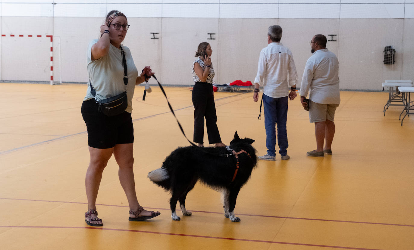 Las imágenes del incendio de Tarifa: el fuego obliga a desalojar a 1.500 personas