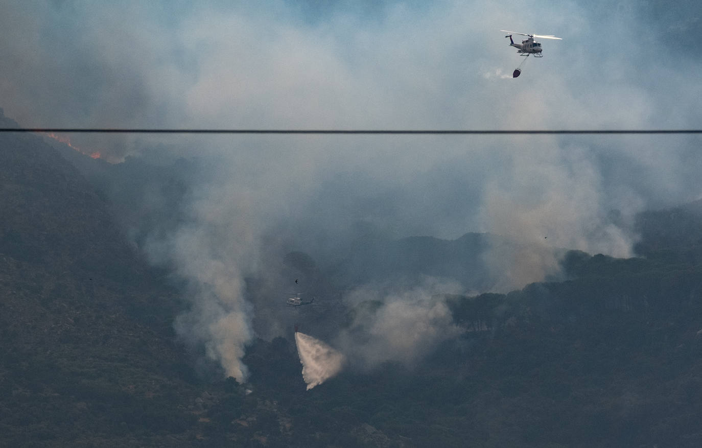 Las imágenes del incendio de Tarifa: el fuego obliga a desalojar a 1.500 personas
