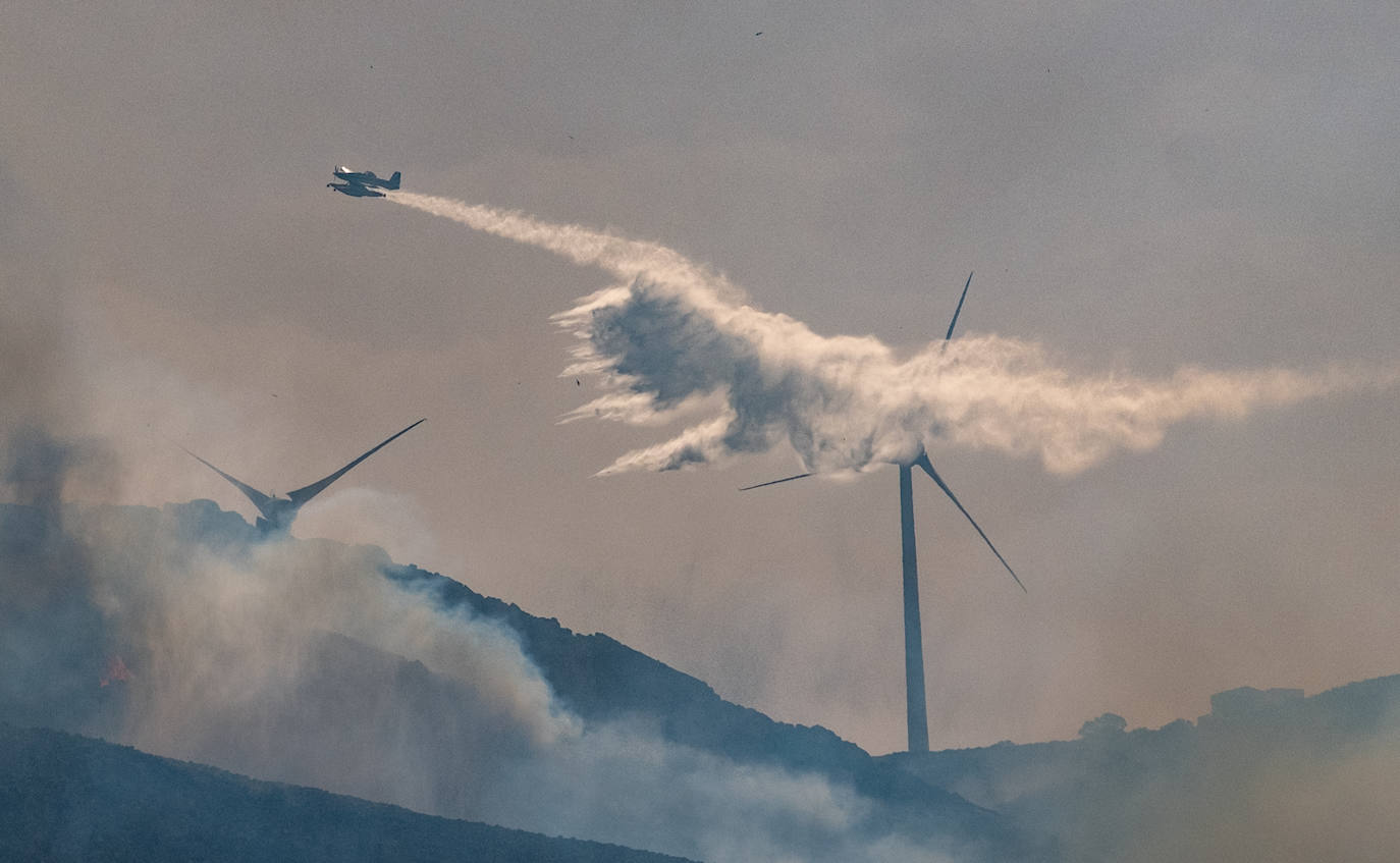 Las imágenes del incendio de Tarifa: el fuego obliga a desalojar a 1.500 personas