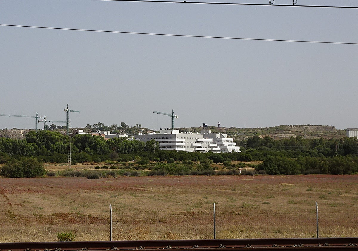 Ecologistas en Acción alega contra la ciudad deportiva del Cádiz CF
